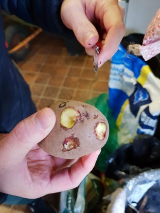 d4918347-b663-4213-93d6-835464fcff6e