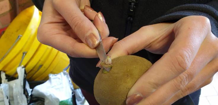 05889459-11b9-41e6-b97d-8e122cd1998c