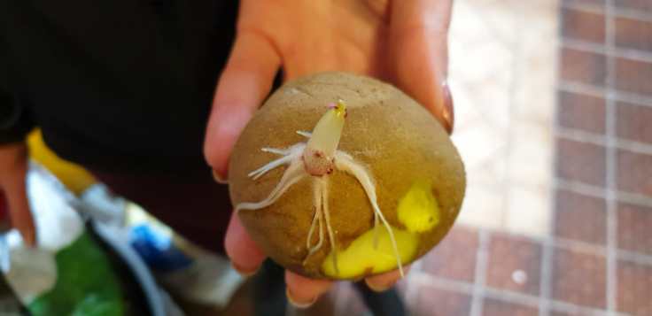 5526efd6-44de-4f1f-8148-df809550962e