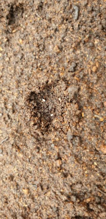 e7ae0e92-c80b-4199-b9d6-8edbd02b754b