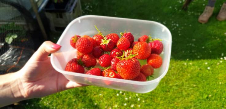 3ceddb80-15f1-4e53-a767-bcac6703cdf8 (1)