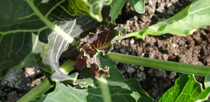 6028648c-fba4-465a-8b3e-2a82d13090b3